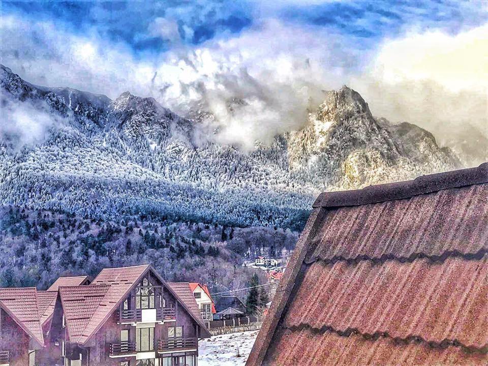 Villa Anne - Piatra Arsa Buşteni Exteriér fotografie