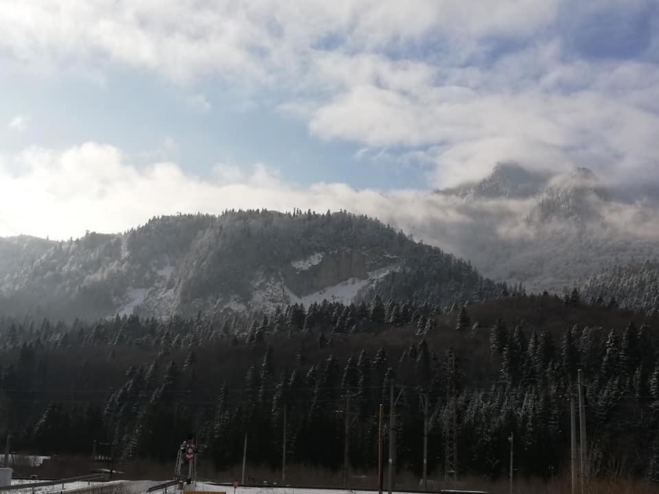 Villa Anne - Piatra Arsa Buşteni Exteriér fotografie