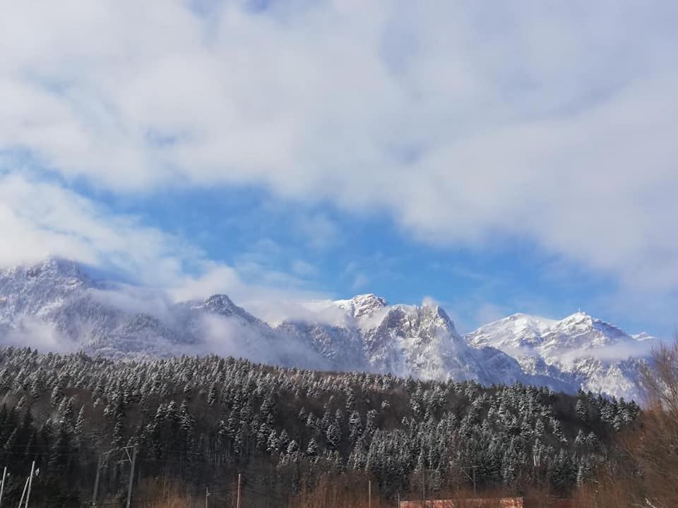 Villa Anne - Piatra Arsa Buşteni Exteriér fotografie