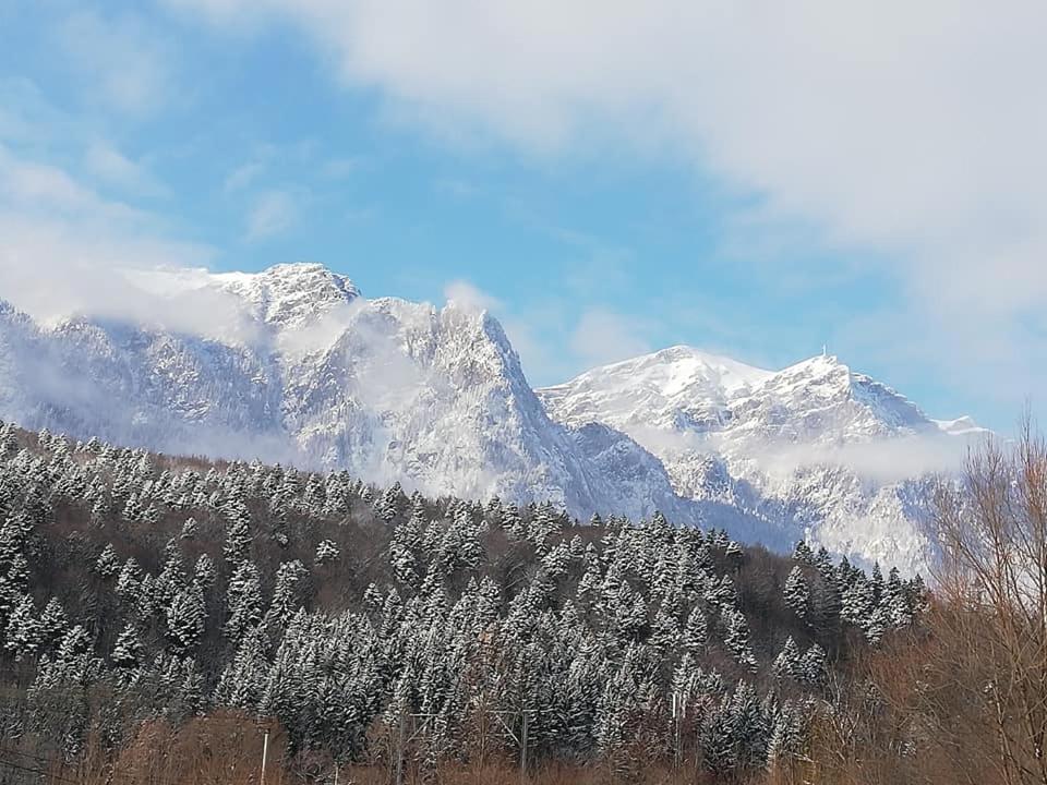 Villa Anne - Piatra Arsa Buşteni Exteriér fotografie