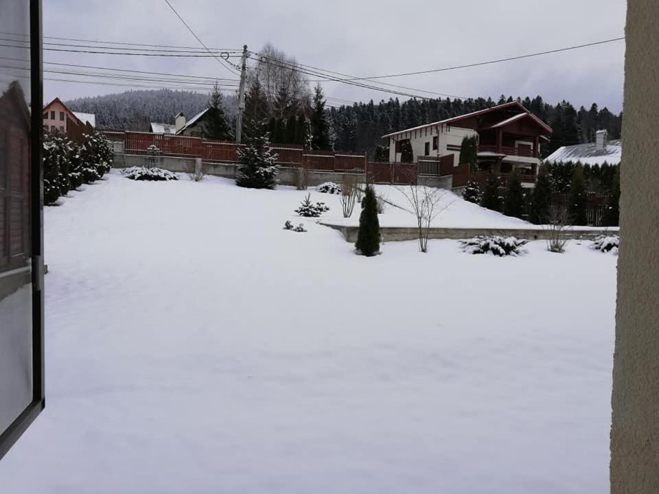 Villa Anne - Piatra Arsa Buşteni Exteriér fotografie