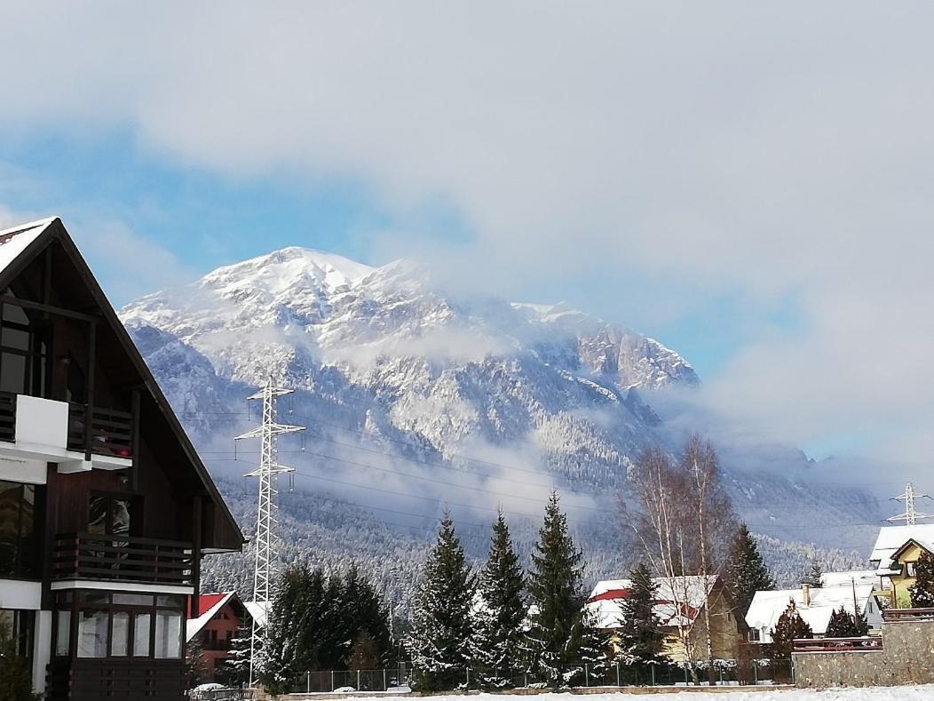 Villa Anne - Piatra Arsa Buşteni Exteriér fotografie